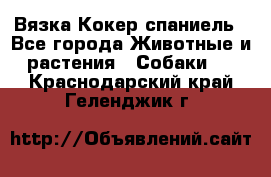 Вязка Кокер спаниель - Все города Животные и растения » Собаки   . Краснодарский край,Геленджик г.